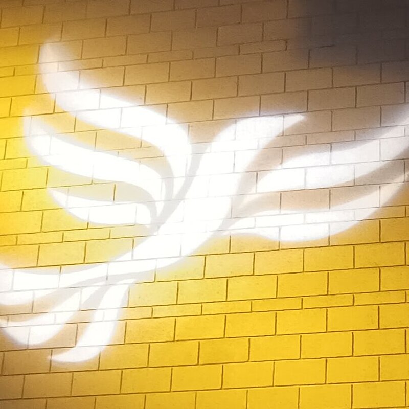 Lib Dem logo bird projected on blockwork